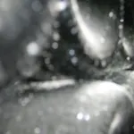 招待所 约安内斯观光农场旅馆 3*