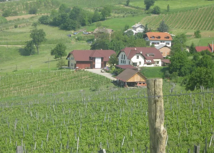 Hiša za goste Tourist Farm Joannes